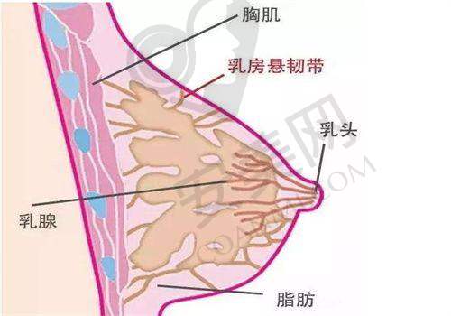 成都三博东篱医院整形的技术水平怎么样？