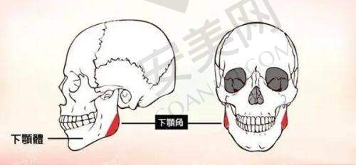 爱贝芙注射，就诊过程如何？