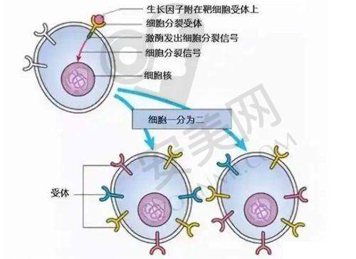 5、珠海九龙医院张红艳医生患者评价