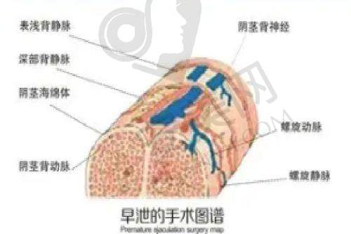 成都新华徐敦医生整形技术特色