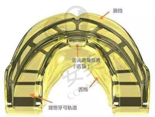 西双版纳竹子口腔汪子媛医生擅长项目收费价格