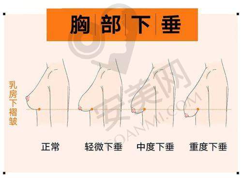 包涛医生：专精与职责铸就美丽传奇