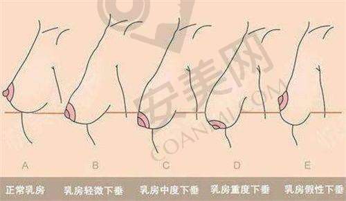 患者对李献和医生的评价怎样？