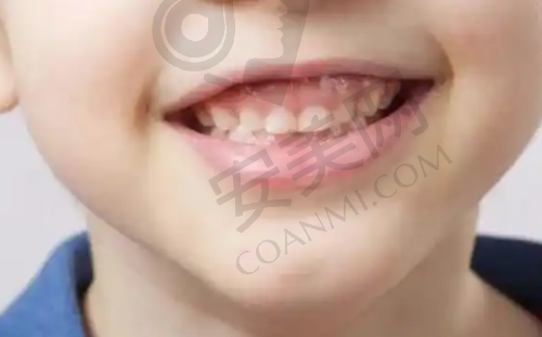 规模与科室：一站式口腔服务