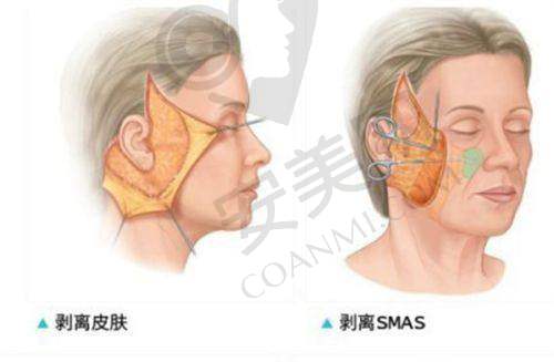 2004年成立背后的故事：有哪些契机促使其诞生？