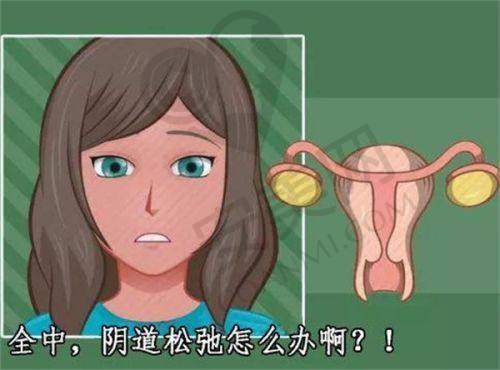 宁波嘉莱美周静医生社会职称与荣誉