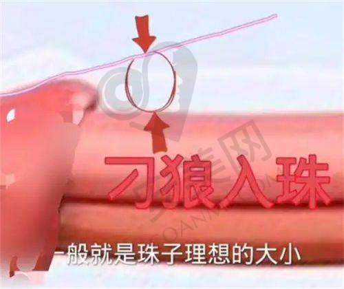 到达西安高一生后能享受到怎样的服务？