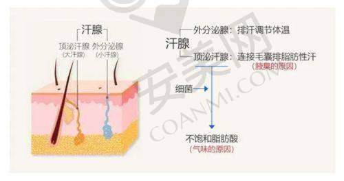 昆明韩辰整形医院的皮肤美容医生有哪些特色？