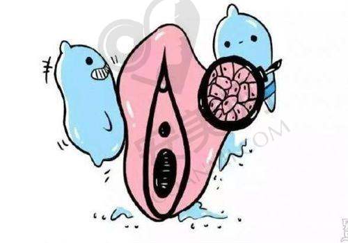 上海虹桥疤痕医院的服务质量怎么样？