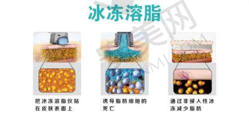 赣州华美医疗美容门诊部基本资料：