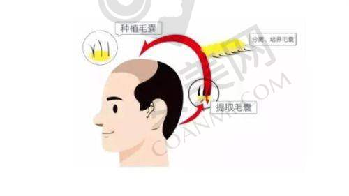 天津医 科 大学总医院整形美容外科：具有影响力之选