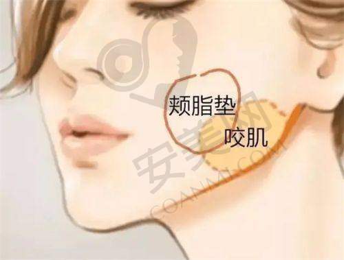 顾客对海南韩美整形美容医院的评价如何？