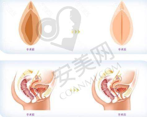 就诊前的询问与沟通是怎样的？