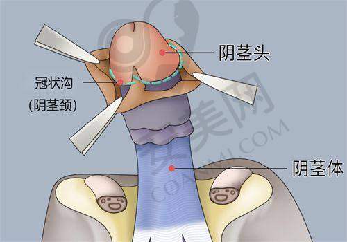 成都丝缘植发医疗美容门诊部患者评价：
