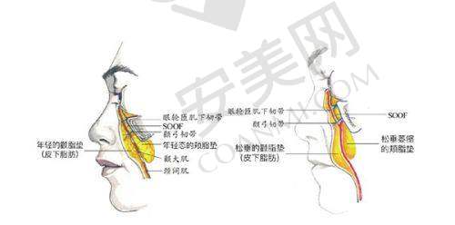 苏州乐桥疤痕专科医院地址电话：