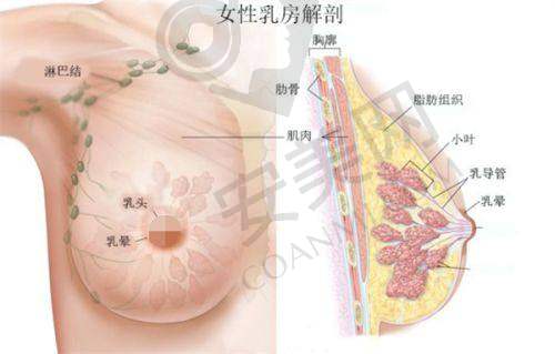 郭宗科 | 东南大学附属中大医院 - 烧伤整形科