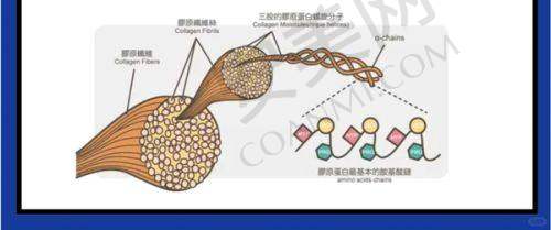 贵阳利美康——专精医美品牌的实力保护