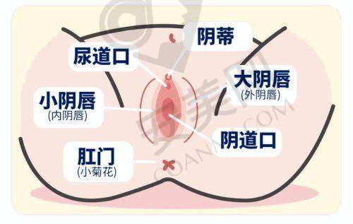 成都八大处小阴唇整形有哪些优势？