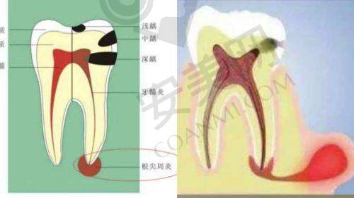 初诊：全方面检查与评估