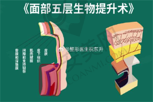 揭阳和美医疗美容门诊部基本资料：