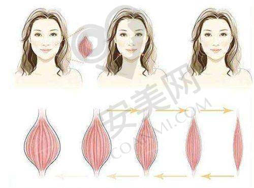 如何预约这些非凡的医生？
