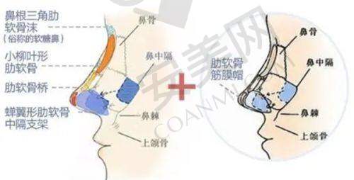 广州中家医家庭整形医院的技术水平如何体现正规性？
