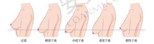 营口智美明颜与奉伊美医生团队深度剖析