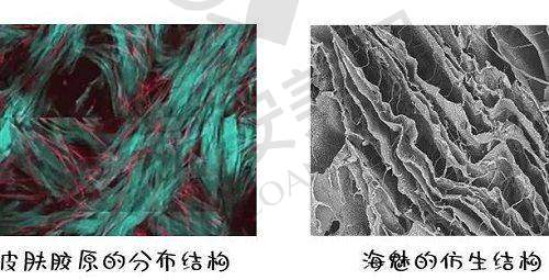 重庆星荣苟磊医生擅长项目