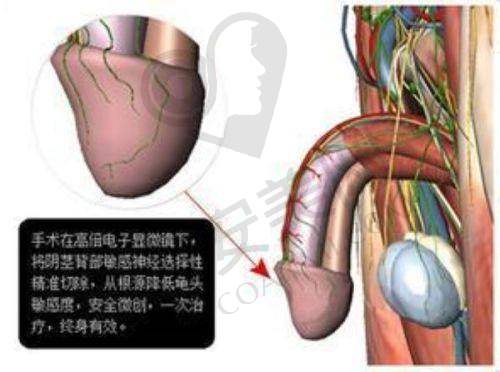 深圳微姿医疗美容门诊部：经典项目丰富