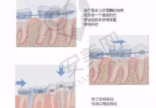 周口整形项目价格参考
