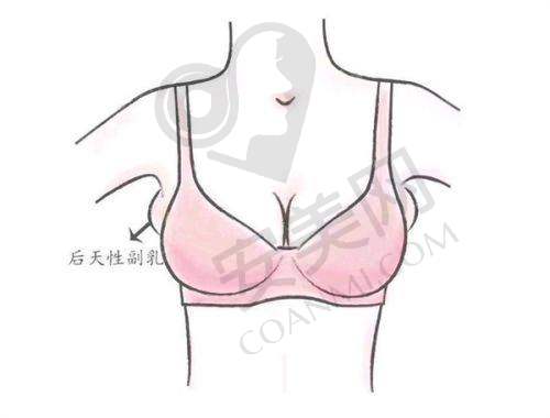 项目价格参考：透明合理的收费标准