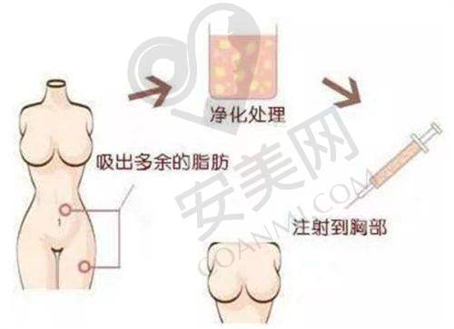 山东菏泽御美汇医疗美容诊所地址电话：