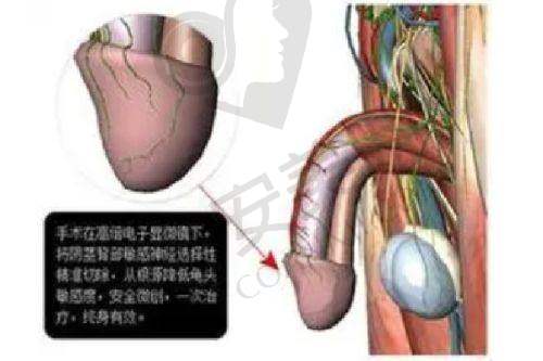 江苏无锡百年植发正规吗？