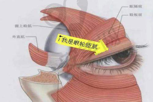 杭州瑞丽双眼皮整形怎么样？靠谱吗？