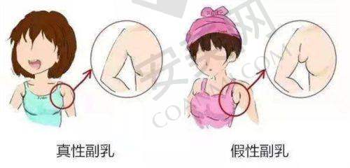 佳木斯韩艺来医疗美容医院地址电话：