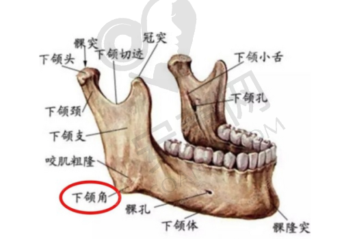 成都棕南医院：专精的私密整形环境