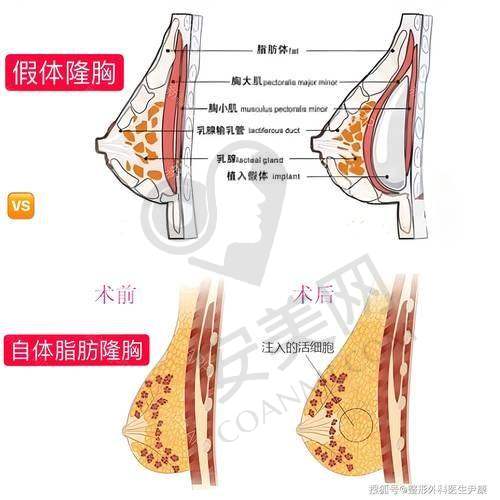 4、杭州瑞丽宋建良医生社会职称
