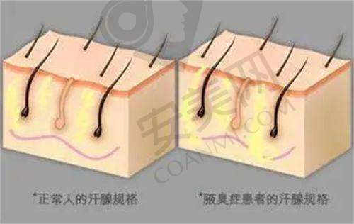4、濮阳李伟整形杨军飞医生社会职称