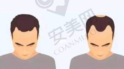 北京纯脂医疗美容和嘉禾的术后成效哪个更令人满意？