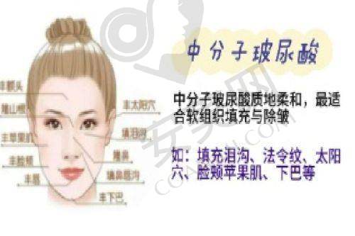 院长如何带领上海首尔丽格发展？