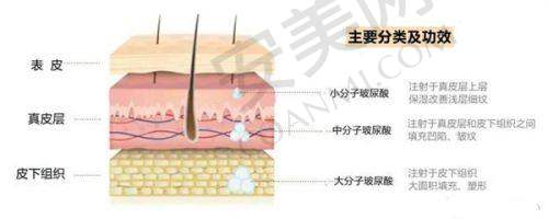 成都童颜博仕张潇医生整形技术优势