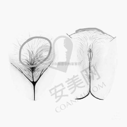 医疗信息的重要性：选择合适的医生