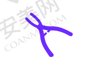 同友口腔——美学修复的艺术殿堂