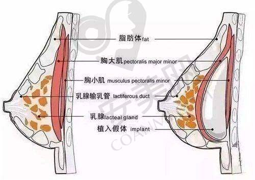 北京黄寺整形医院的价格是否合理？