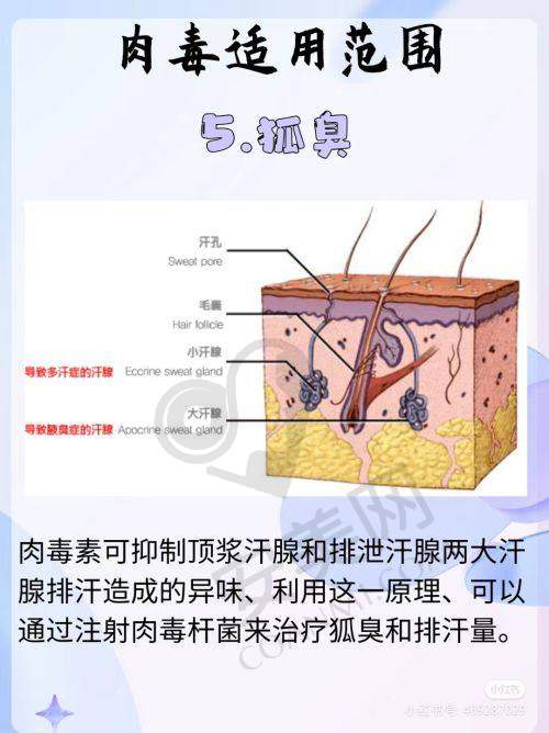 良好的口碑，实力的见证