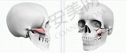 顾客评价：嘉兴曙光和艺星的口碑究竟如何？