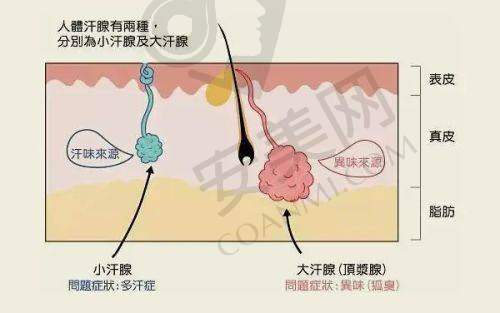 上海华美医疗美容医院的收费是否合理？