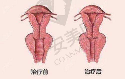 就诊过程中的服务体验如何？