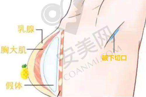 就诊前的询问与准备工作是怎样的？