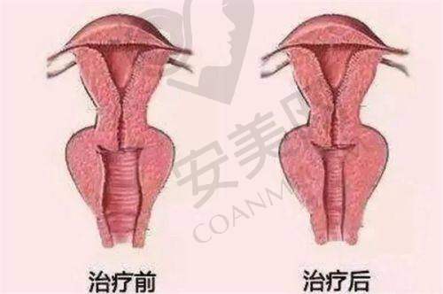 医生介绍